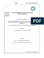 Proceso de Enfermeria Aplicado A Una Usuaria de Diabetes Mellitus Tipo Ii