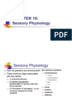 Sensory Systems