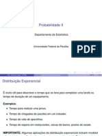 Distribuição Exponencial Negativa