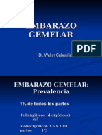 Embarazo Gemelar