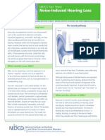 Noise Induced Hearing Loss