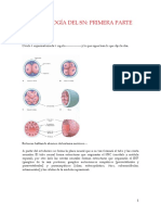 Clases de Neuro