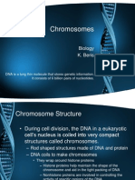 Chromosomes Notes