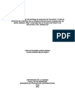 Haccp para Pulpas PDF