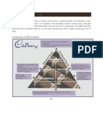 Cadbury Brand Resonance Model