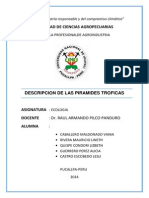 Cadena Trofica Ecologia Informe