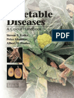 Vegetable Disease