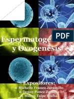 Espermatogenesis y Ovogenesis