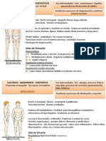 Constituciones Homeopaticas