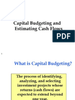 Cash Flow Estimation