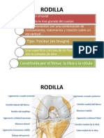 Luxacion Rodilla