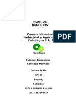 Plan de Negocios2013