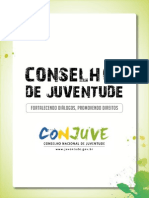 Manual Conselhos Juventude PDF