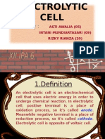 Electrolytic Cell