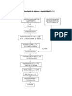 Schema Thenologica Si Bilant SANA