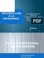 Introducción A La Enfermería Exposicion