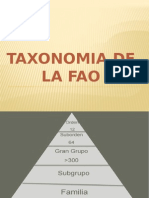 Taxonomia Suelo