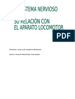 Sistema Nervioso y Su Relación Con El Aparato Locomotor