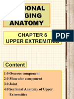 Chapter 6 Upper Extremities