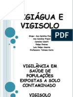 Vigiagua e Vigisolo