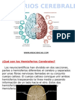 Hemisferios Cerebrales