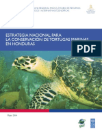 Estrategia Nacional Tortugas - PRESS Ultima