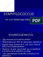 Staphylococcus