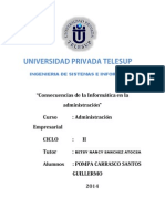 Consecuencias de La Informatica en La Administracion PDF