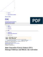 Ruta Graveolens Extract Induces DNA: Damage Pathways and Blocks Akt Activation