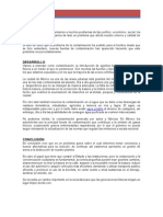 Ensayo La Contaminación en Mi Ciudad1