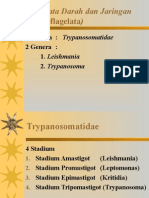 05 Trypanosoma Dan Leishmania