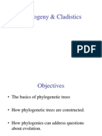 Phylogeny Cladistics