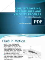 1 Pathline, Streakline, Streamlines and Velocity Profiles