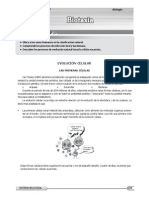 4 Biotaxia Reino Protista Reino Fungi