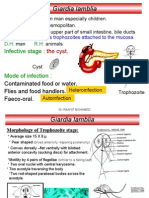 3 - Giardia Lamblia