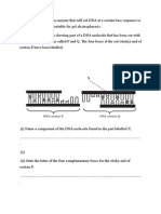 Worksheet Dna Class 12