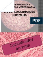 Exposicion Coccidioides Immitis