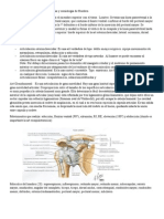 Anatomia y Semiología de Miembro Superior