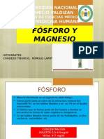 Fosforo y Magnesio