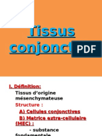 03-Tissu Conjonctif