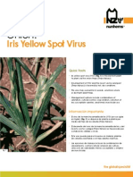 IYSV Iris Yellow Spot Virus