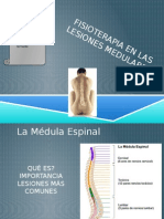 Fisioterapia en Lesión Medular