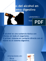 Efectos Del Alcoholismo en Sistema Gastrointestinal