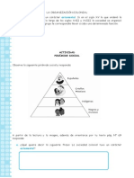 La Organización Colonial