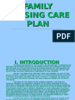 Family Nursing Care Plan