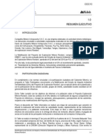 Estudio de Minera Vitaycocha PDF