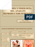 Anatomía y Fisiología Del Aparato Reproductor Femenino