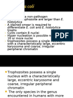 Entamoeba Coli