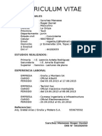 Curriculum Vitae Sanchez Meneses