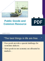 Public Goods